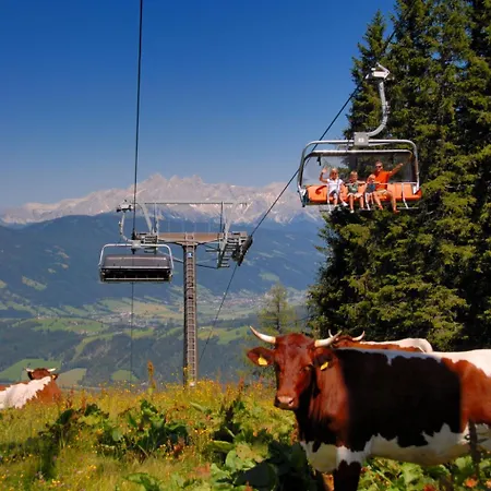 Panorama Moosalm By Interhome * Flachau
